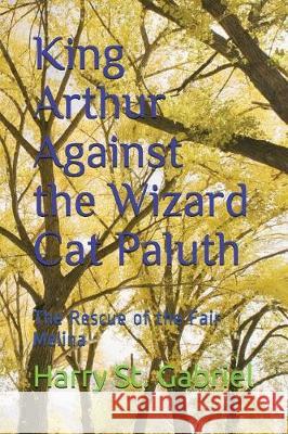 King Arthur Against the Wizard Cat Paluth: The Rescue of the Fair Melina Harry S 9781717898265 Independently Published - książka