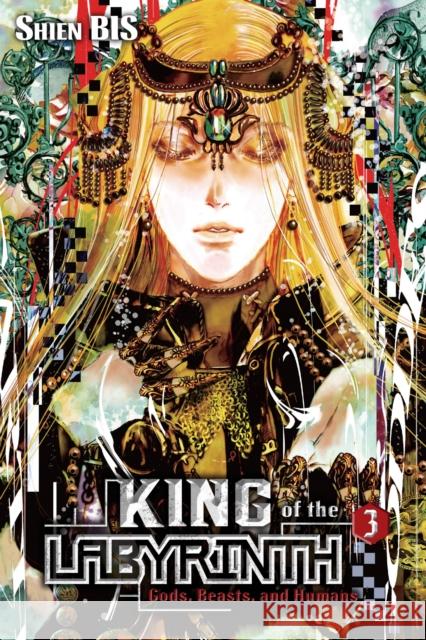 King of the Labyrinth, Vol. 3 (light novel) Noriko Meguro 9781975333379 Little, Brown & Company - książka