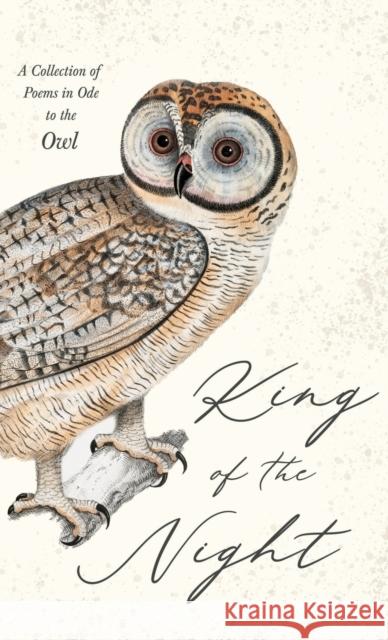 King of the Night - A Collection of Poems in Ode to the Owl Various 9781528770309 Ragged Hand - książka