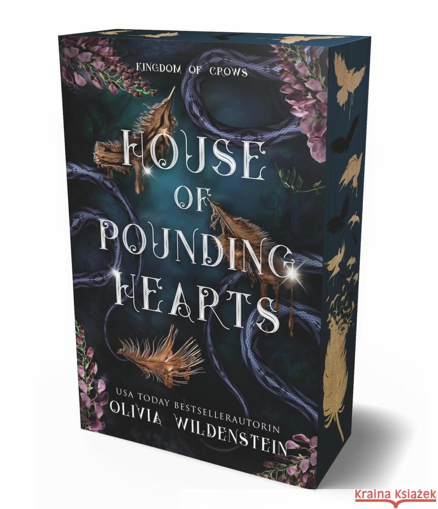 Kingdom of Crows Wildenstein, Olivia 9783985852000 Adrian Verlag - książka