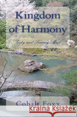 Kingdom of Harmony: Gaby and Sammy Meet Cobalt Foxx John Mallozzi 9781508805625 Createspace - książka