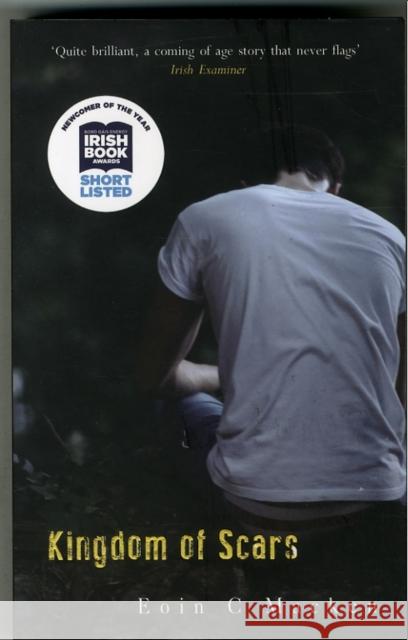 Kingdom of Scars Eoin C. Macken 9781781999462 Poolbeg Press Ltd - książka