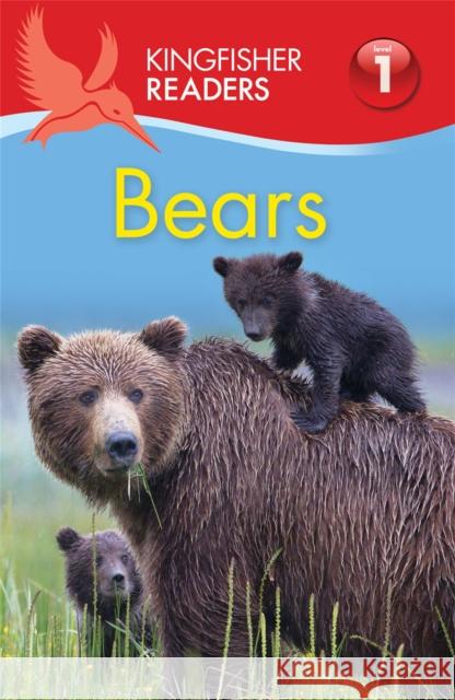 Kingfisher Readers: Bears (Level 1: Beginning to Read) Thea Feldman 9780753440933 Pan Macmillan - książka