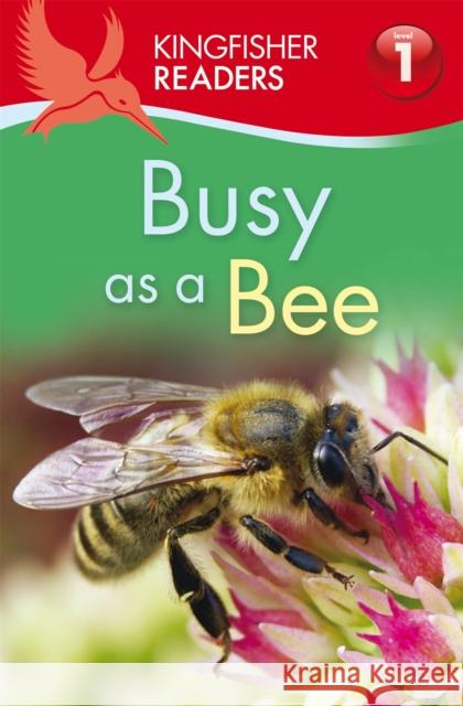 Kingfisher Readers: Busy as a Bee (Level 1: Beginning to Read) Louise P Carroll 9780753433195 Pan Macmillan - książka