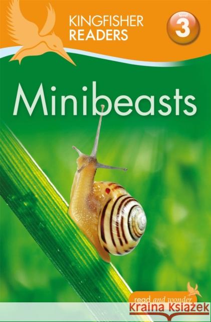 Kingfisher Readers: Minibeasts (Level 3: Reading Alone with Some Help) Anita Ganeri 9780753430934  - książka