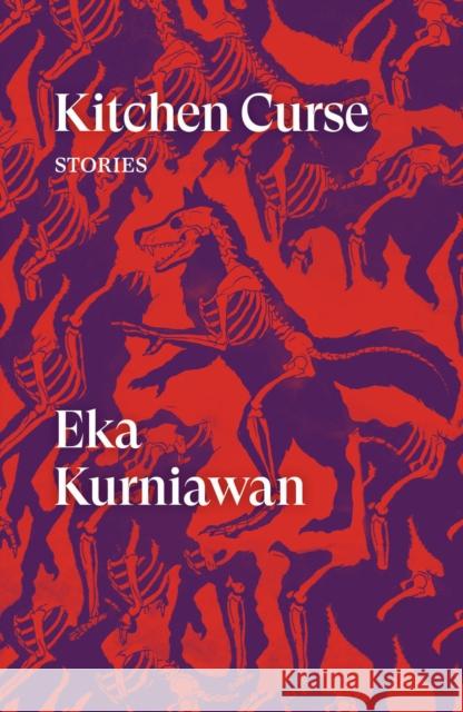 Kitchen Curse: Stories Eka Kurniawan 9781786637154 Verso Books - książka