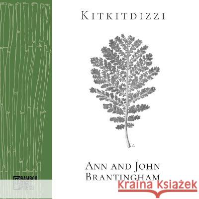 Kitkitdizzi: A Non-Linear Memoir of the High Sierra John Brantingham Ann Brantingham 9781947240377 Bamboo Dart Press - książka