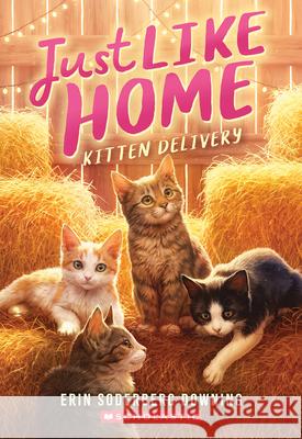 Kitten Delivery (Just Like Home, Book Two) Erin Soderberg Downing 9781546124948 Scholastic Press - książka