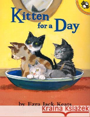 Kitten for a Day Ezra Jack Keats 9780142300541 Puffin Books - książka