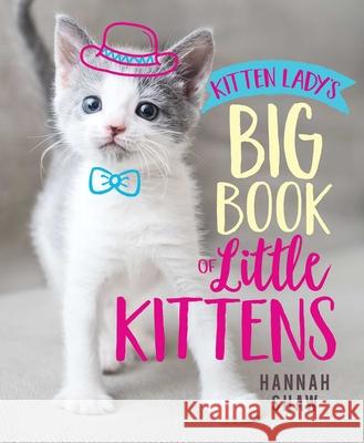 Kitten Lady's Big Book of Little Kittens Hannah Shaw 9781534438941 Aladdin Paperbacks - książka