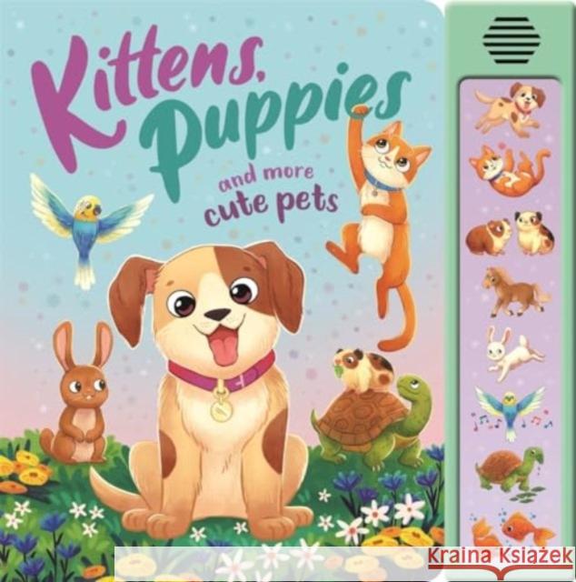 Kittens, Puppies and More Cute Pets Igloo Books Ltd 9781837952816 Bonnier Books Ltd - książka