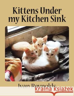 Kittens Under my Kitchen Sink Ivan Reynolds 9781482855135 Partridge Singapore - książka
