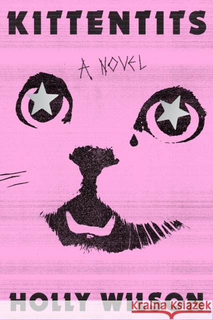 Kittentits: A Novel Holly Wilson 9781638932802 Zando - Gillian Flynn Books - książka