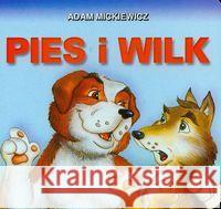 Klasyka Wierszyka - Pies i wilk.  LIWONA Adam Mickiewicz 9788375702828 Liwona - książka