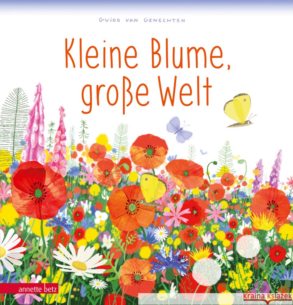 Kleine Blume, große Welt Genechten, Guido van 9783219119121 Betz, Wien - książka