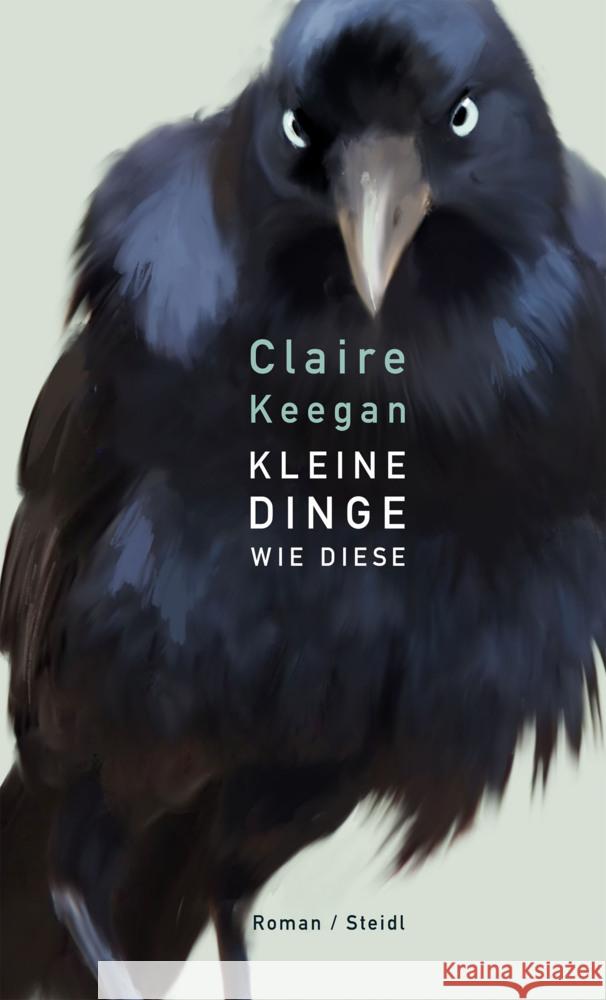 Kleine Dinge wie diese Keegan, Claire 9783969990650 Steidl - książka