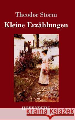 Kleine Erzählungen Theodor Storm 9783743723146 Hofenberg - książka