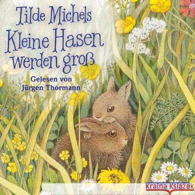 Kleine Hasen werden groß, 1 Audio-CD Michels, Tilde 9783867427012 Silberfisch - książka