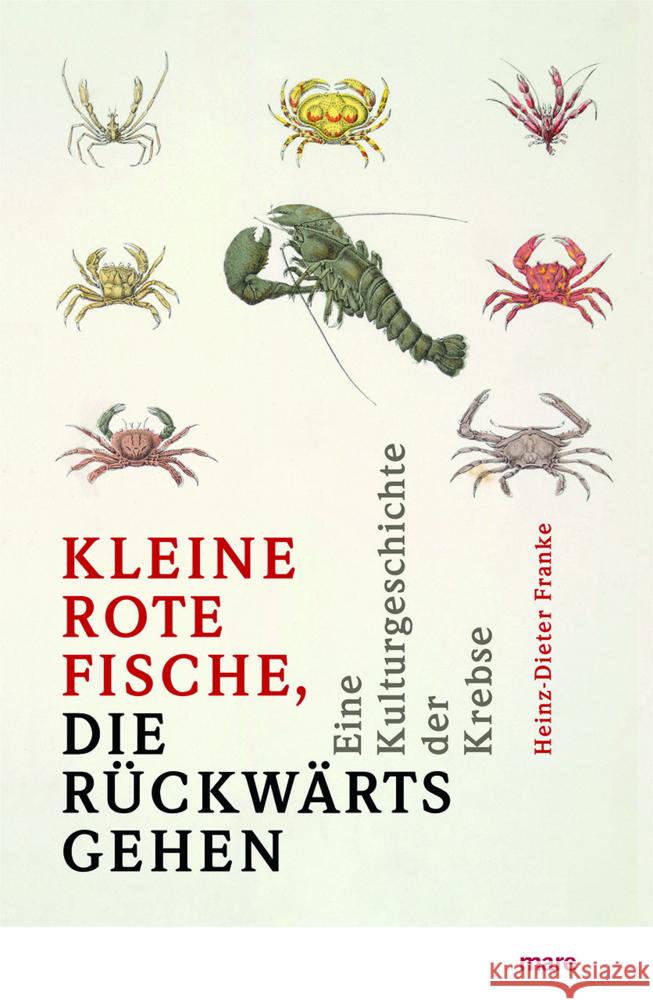 »Kleine rote Fische, die rückwärtsgehen« Franke, Heinz-Dieter 9783866487130 mareverlag - książka