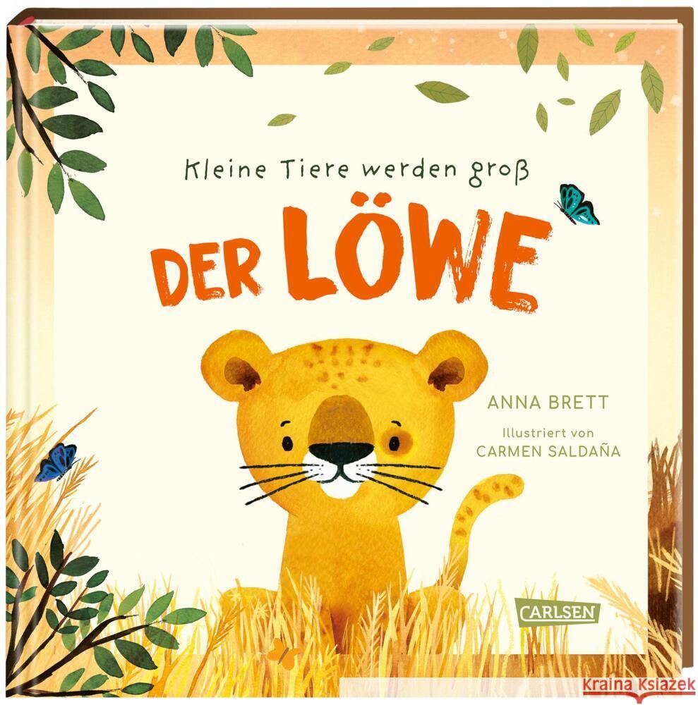 Kleine Tiere werden groß - Der Löwe Brett, Anna 9783551254986 Carlsen - książka