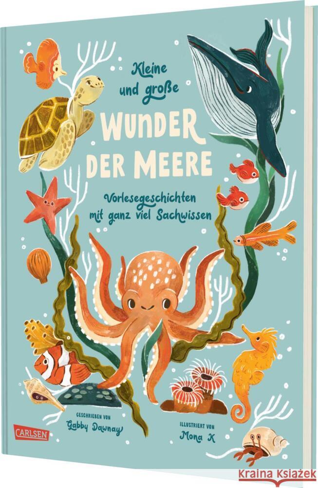 Kleine und große Wunder der Meere Dawnay, Gabby 9783551255082 Carlsen - książka