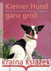 Kleiner Hund ganz groß : Rassen - Erziehung - Gesundheit Strodtbeck, Sophie 9783275019106 Müller Rüschlikon - książka