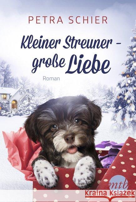 Kleiner Streuner - große Liebe : Roman Schier, Petra 9783956497513 MIRA Taschenbuch - książka