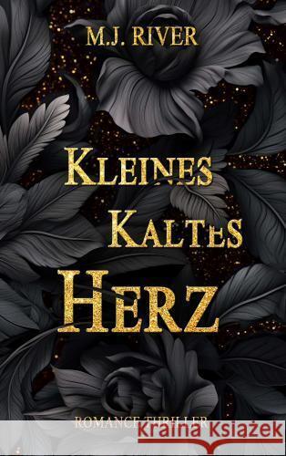 Kleines Kaltes Herz M. J. River 9789403767536 Bookmundo - książka