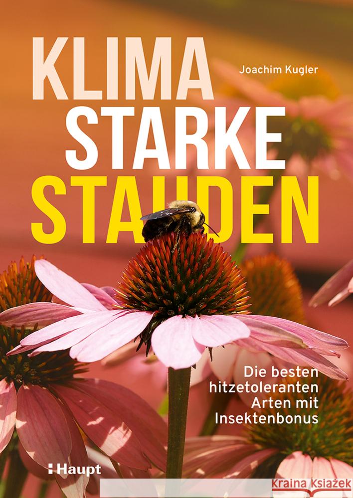 Klimastarke Stauden Kugler, Joachim 9783258084565 Haupt - książka