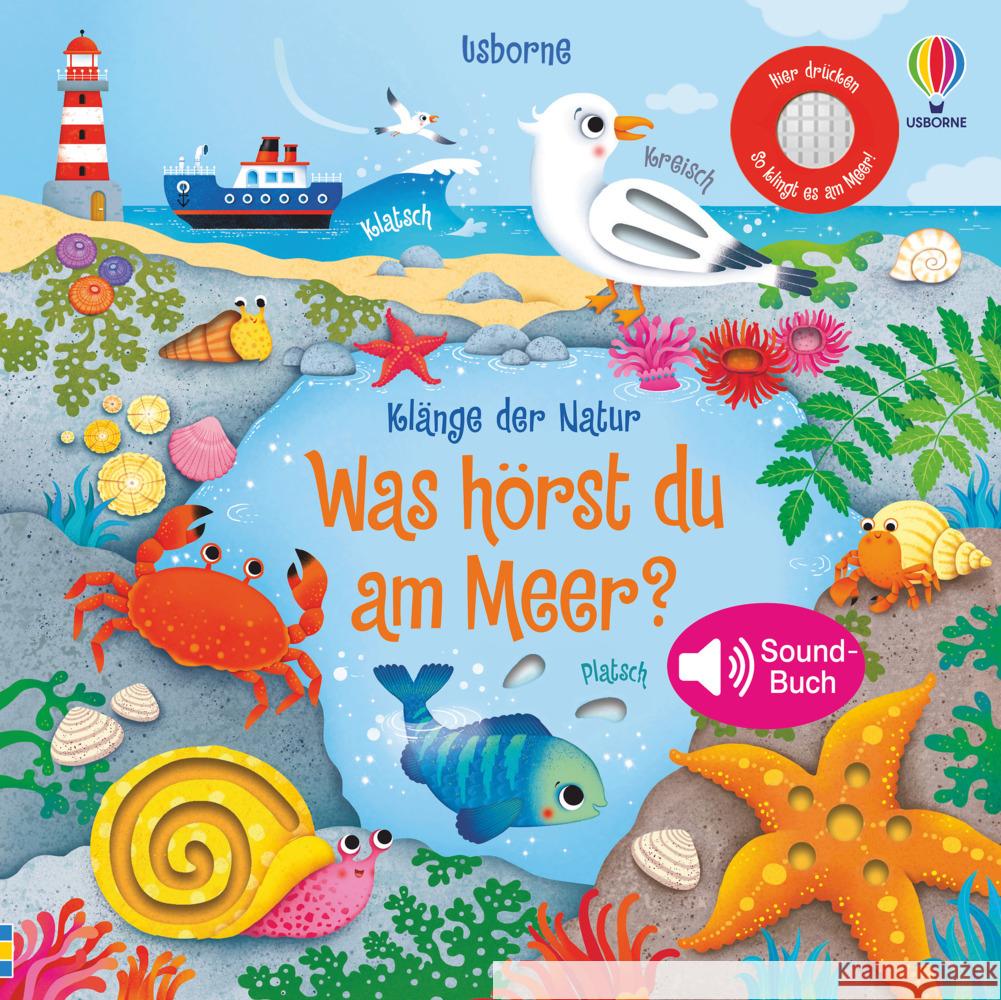 Klänge der Natur: Was hörst du am Meer? Taplin, Sam 9781789416602 Usborne Verlag - książka