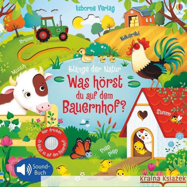 Klänge der Natur: Was hörst du auf dem Bauernhof?, m. Soundeffekten Taplin, Sam 9781789410341 Usborne Verlag - książka