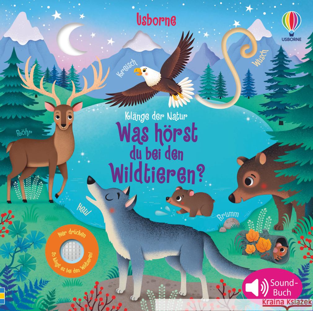 Klänge der Natur: Was hörst du bei den Wildtieren? Taplin, Sam 9781789415735 Usborne Verlag - książka