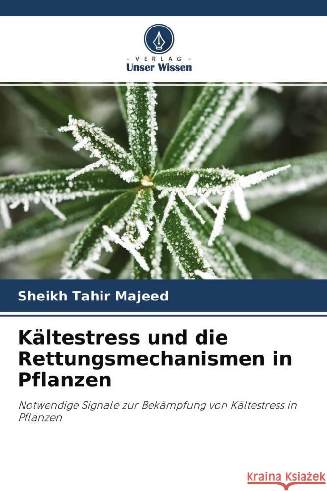 Kältestress und die Rettungsmechanismen in Pflanzen Majeed, Sheikh Tahir, Majeed, Rabiya, Andrabi, Khurshid 9786204465302 Verlag Unser Wissen - książka