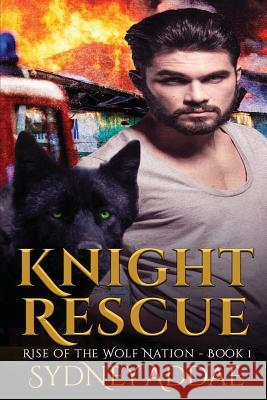 Knight Rescue Sydney Addae 9781937334857 Sitting Bull Publications, LLC - książka
