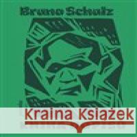 Kniha dopisů Bruno Schulz 9788087485941 Protimluv - książka