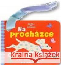 Knížka do kočárku Na procházce  9788025639382 Svojtka & Co. - książka
