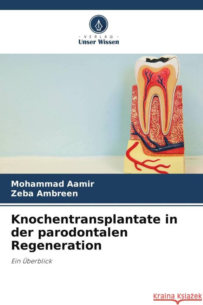 Knochentransplantate in der parodontalen Regeneration Mohammad Aamir Zeba Ambreen 9786208634650 Verlag Unser Wissen - książka