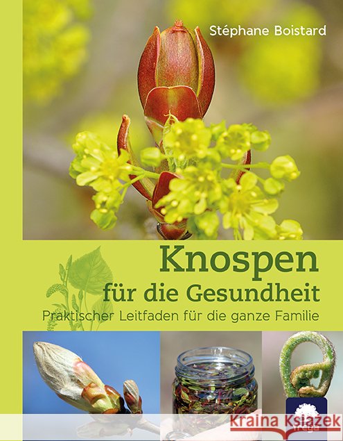Knospen für die Gesundheit Boistard, Stéphane 9783990255070 Freya - książka