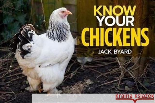 Know Your Chickens Jack Byad 9781912158478 Fox Chapel Publishers International - książka