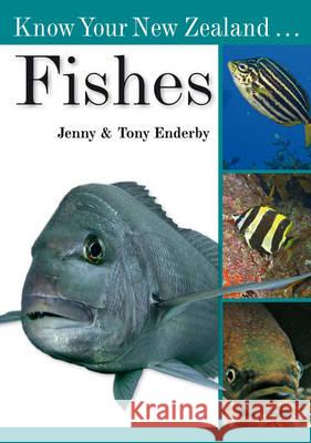 Know Your New Zealand ... Fishes Tony Enderby Jenny Enderby  9781869663230 New Holland Publishers (NZ) Ltd - książka