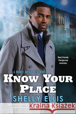 Know Your Place Shelly Ellis 9781496718976 Dafina Books - książka