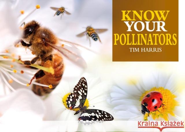 Know Your Pollinators Tim Harris 9781912158553 Old Pond Books - książka
