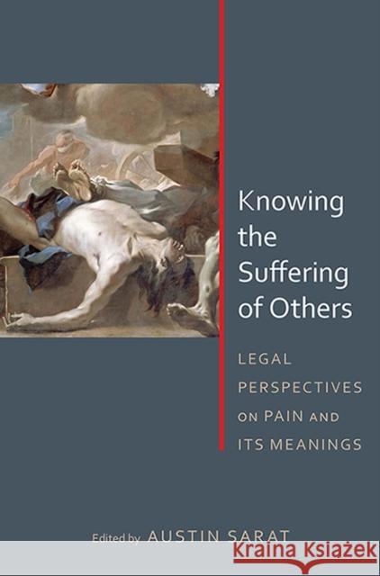 Knowing the Suffering of Others: Legal Perspectives on Pain and Its Meanings Austin Sarat Montre D. Carodine Cathy Caruth 9780817357689 University Alabama Press - książka