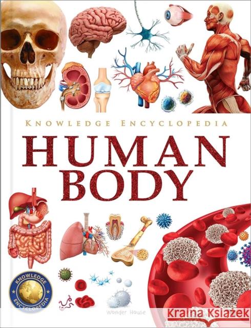 Knowledge Encyclopedia Human Body: Deluxe Edition Wonder House Books 9789354404115 Wonder House Books - książka