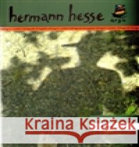 Knulp Hermann Hesse 9788025701140 Argo - książka