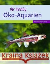 Öko-Aquarien : Umweltfreundlich, sparsam Quante, Kai A. 9783800177233 Ulmer (Eugen) - książka