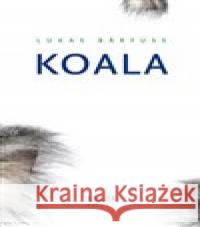 Koala Lukas Bärfuss 9788087545621 Archa - książka