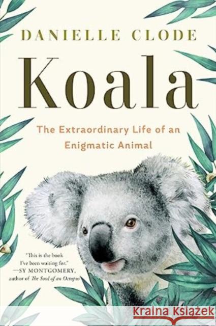 Koala: The Extraordinary Life of an Enigmatic Animal Danielle Clode 9781324074496 WW Norton & Co - książka