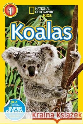 Koalas Laura Marsh 9781426314667 National Geographic Society - książka