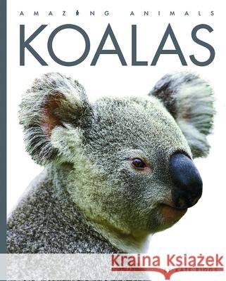 Koalas Valerie Bodden 9781682770665 Creative Paperbacks - książka